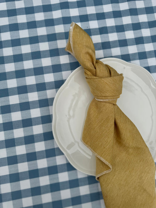 NEW! Blue Gingham - Spillproof